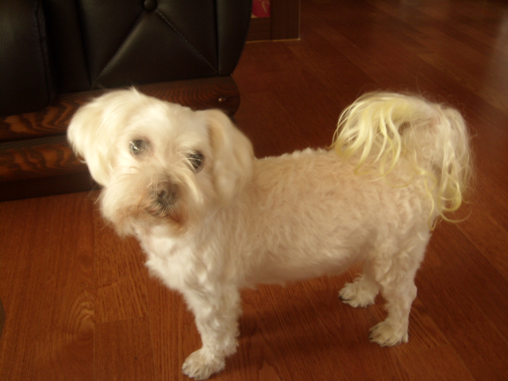 ����ũ��� ����